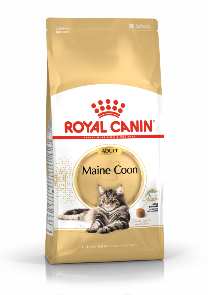 Royal Canin Kitten Maine Coon