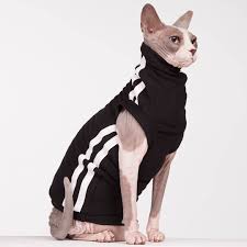 Sphynx Cat With Clothes