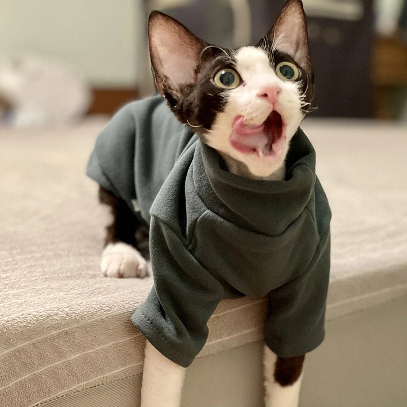 Sphynx Clothes For Cats