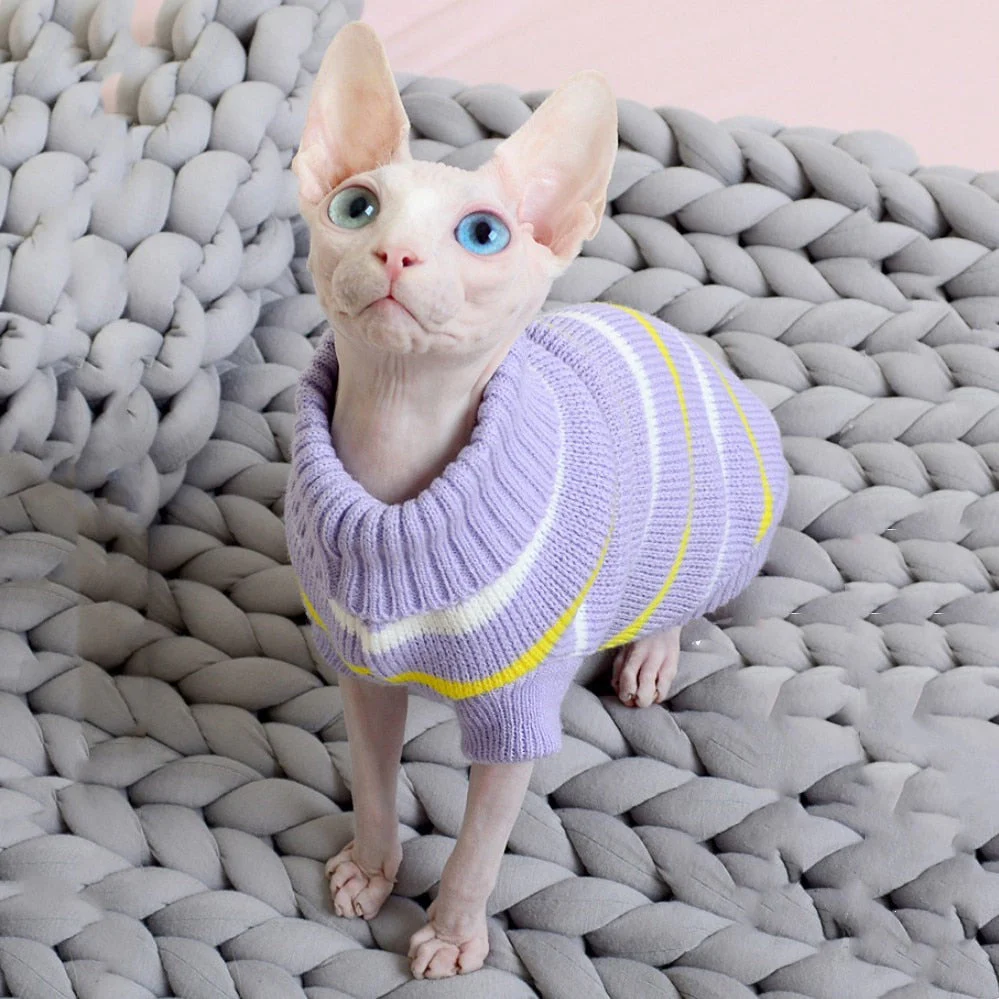 Sphynx Clothes