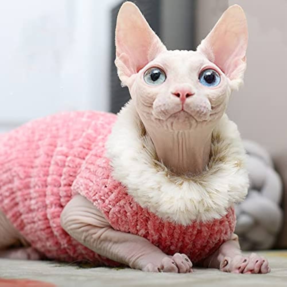 Sphynx Jumper