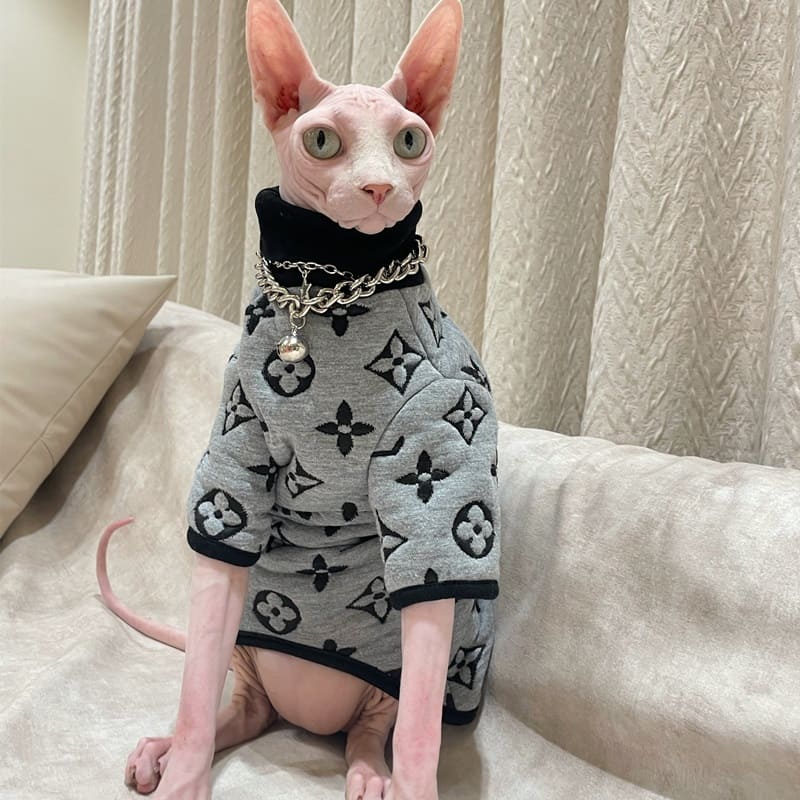 Sweater Sphynx Cat