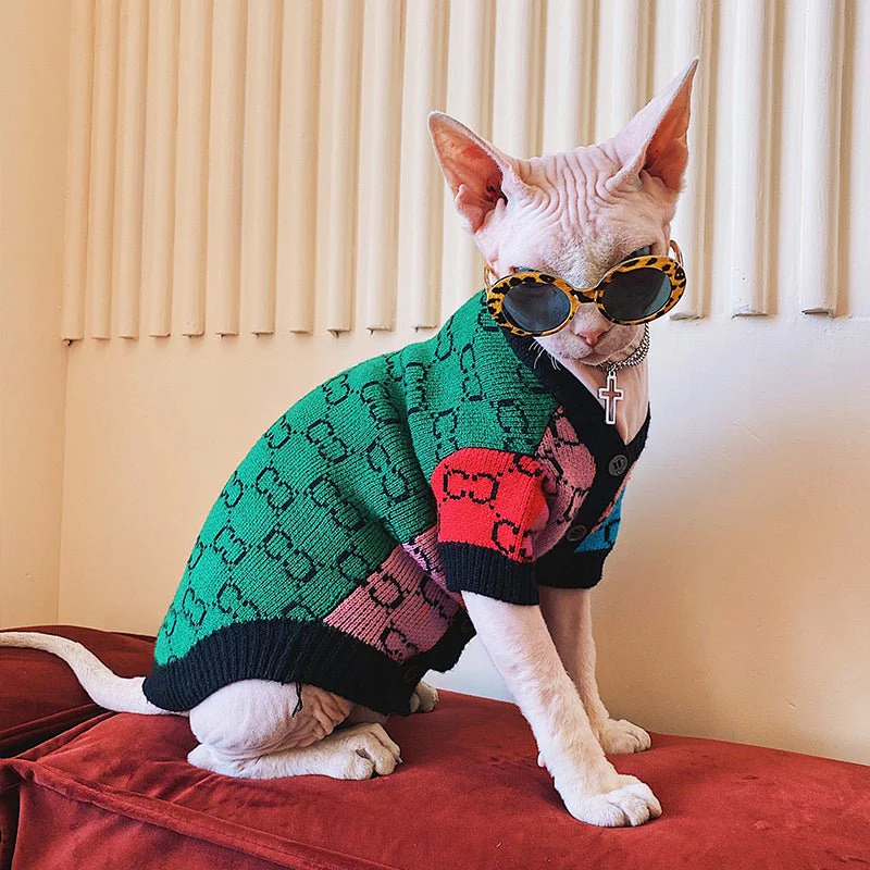 Sphynx Cat In Sweater