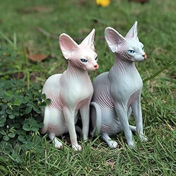 Sphynx For Sale $100