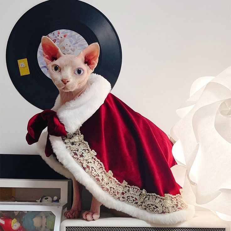 Sphynx Cat Costume