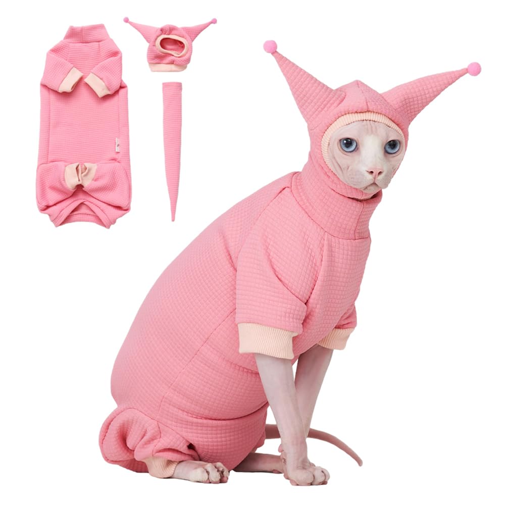 Where Can I Buy A Sphynx