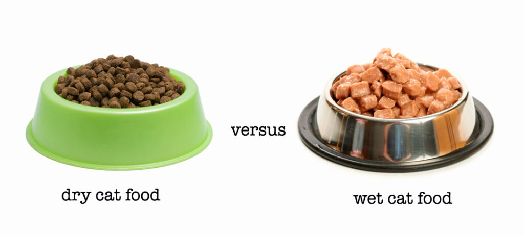 cat food